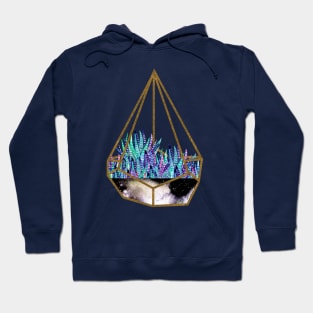 Dusk Cactus Terrarium Hoodie